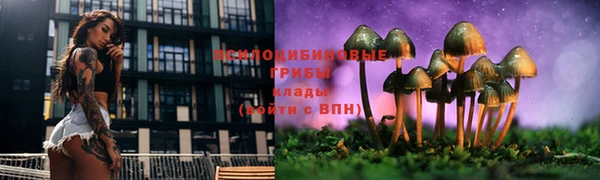 скорость Алзамай