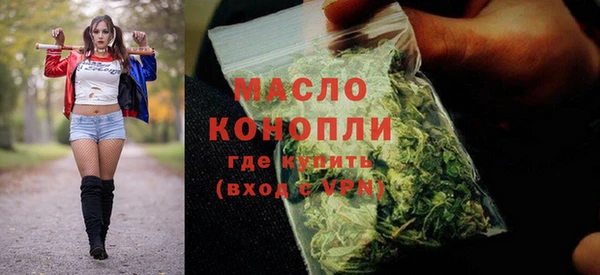 тгк Абаза