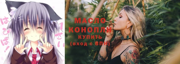 тгк Абаза