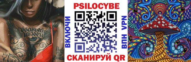 Псилоцибиновые грибы Psilocybe цены kraken сайт Нелидово